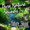 Pure Nature Sounds