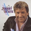 25 Jaar Johnny White, 1990