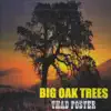 Big Oak Trees album lyrics, reviews, download
