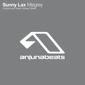 Misgrey (Adam Nickey Remix) by Sunny Lax song reviws