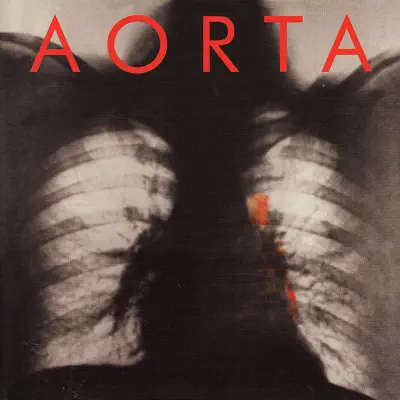 Aorta - Aorta Aorta - Aorta