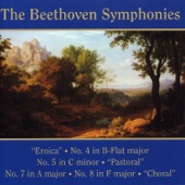 Symphony No. 5 In C Minor, Op. 67: III. Allegro artwork