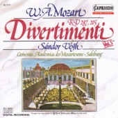 Divertimento No. 15 in B flat major, K. 287: I. Allegro artwork
