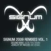 Stream & download Signum 2009 Remixes, Vol. 1 - EP