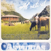 Asturias Patria Querida artwork