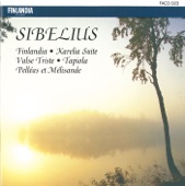 Sibelius: Orchestral Works artwork