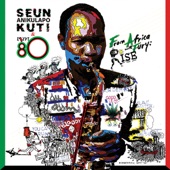 Seun Anikulapo Kuti - The Good Leaf