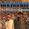 Hey Joe - The Shadows of Knight lyrics
