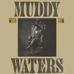 King Bee - Muddy Waters