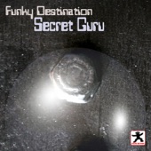 Secret Guru - EP artwork