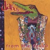 From the Gekko