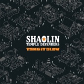 Shaolin Temple Defenders - Take It Slow