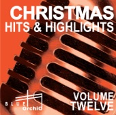 Christmas Hits and Highlights Volume 12