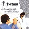 The Split: The Commercials Vs. Shadow Agency