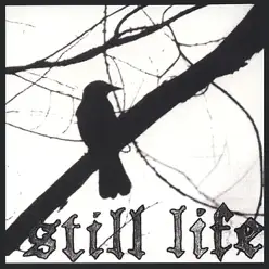 Madness and the Gackle - Still Life