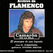 Archivo de Flamenco Vol.10 (Camarón de la Isla Con el Turronero) artwork