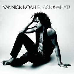 Yannick Noah - Saga Africa (Ambiance secousse)