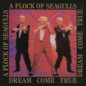 A Flock Of Seagulls - Heartbeat Like a Drum II