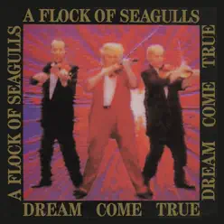 Dream Come True - A Flock Of Seagulls