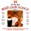 25 of the Best Irish Pub Songs - Volume 1