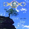 The Irish Descendants - The Irish Rover