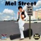 Stolen Love and Borrowed Time - Mel Street lyrics