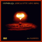 Apocalyptic Love Song (Acoustic Version) artwork