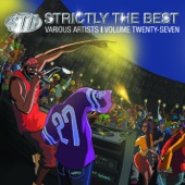 Strictly the Best, Vol. 27 artwork