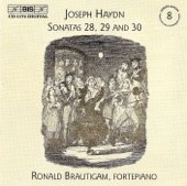 Haydn: Complete Solo Keyboard Music, Vol. 8 artwork