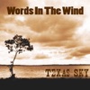 Texas Sky - Hanging By A Thread