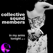 Collective Sound Members - In My Arms Tonight (Mark di Meo Instrumental)