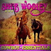 Cowboy Essentials artwork