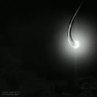 That Which You Seek - Single - Zack Hemsey
