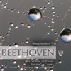 Beethoven Akademie & Jan Caeyers - Symphonie No 9 en ré mineur 'Chorale', Op. 125 - Adagio molto e cantabile