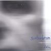 scatterbrain, 2006