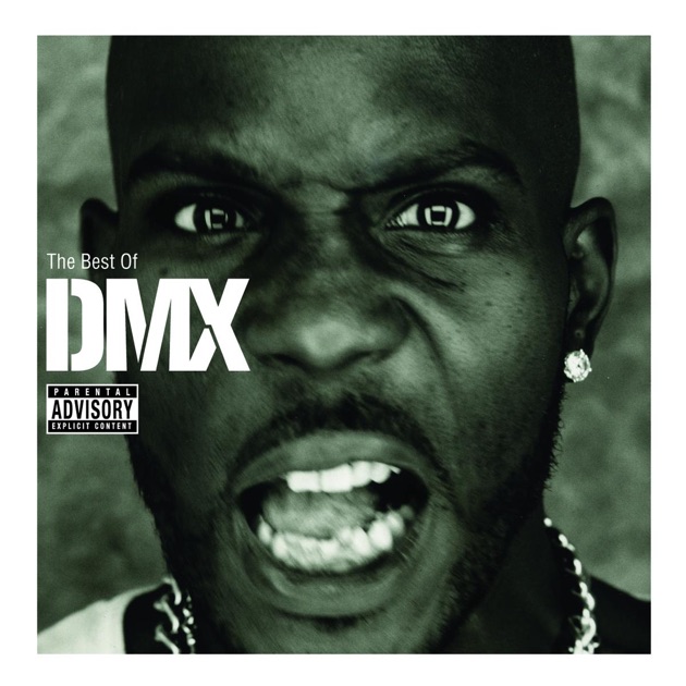 Dmx Who We Be Download