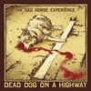 Dead Dog On A Highway