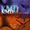 KMD and the Rave