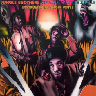 Because I Got It Like That (Instrumental) by Jungle Brothers song reviws