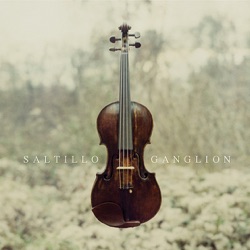 Saltillo - A Necessary End