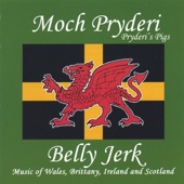 Moch Pryderi - Ty Bach Twt-Welsh