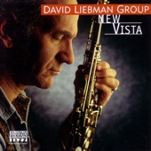 David Liebman Group - Jungle Glide