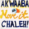 Move It Chaleh!, 2009