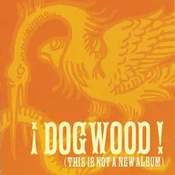 This Is Not A New Album - Dogwood