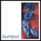 Dry Spell - Bumpus lyrics