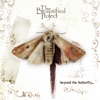 Beyond the Butterfly...