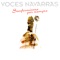 Ya Vienen Los Carreteros - Voces Navarras lyrics