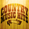 100 Country Music Hits, Vol. 2 - Various Artists