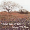 Sweet Will of God, 2008