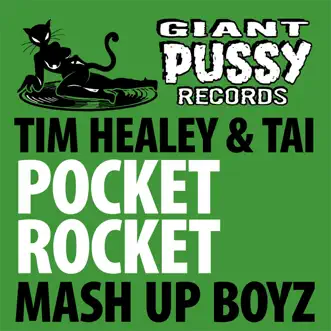 Pocket Rocket (Tes La Rok Remix) by Tim Healey & TAI song reviws